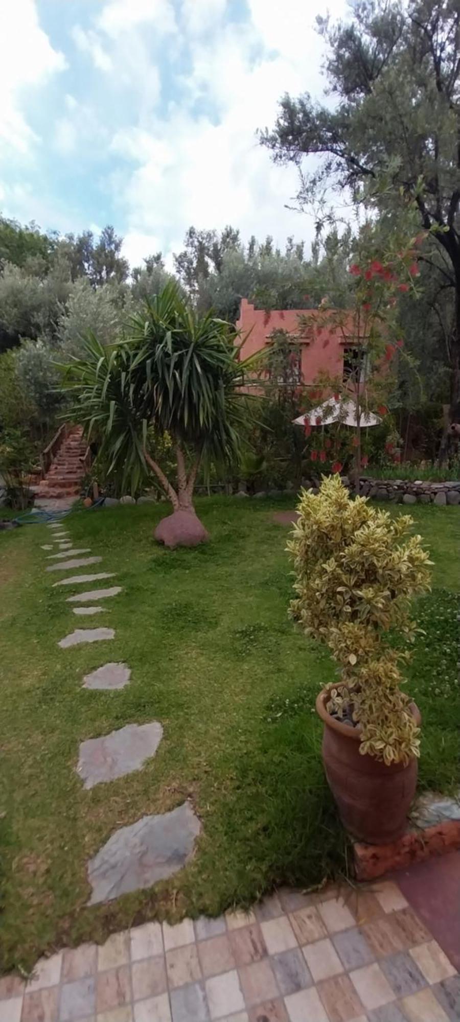 Auberge Le Mouflon Ouirgane Pokoj fotografie